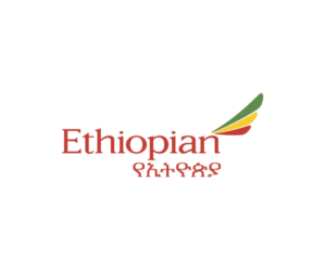 Reisetag Ethiopian Airlines Website