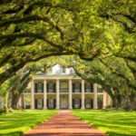 Oak,Alley,Plantation,,Louisiana