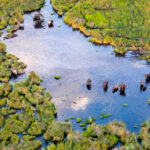 Botswana