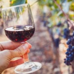 Wine,Tasting,,Degustation,,Hand,Holding,A,Glass,In,Wineyard
