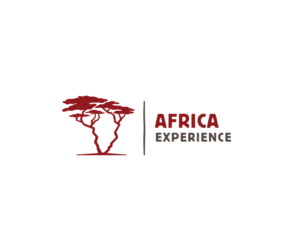 Africa Experience